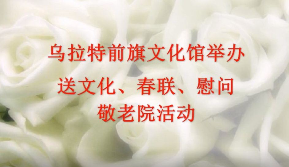 送文化、春联、慰问贫敬老院活动